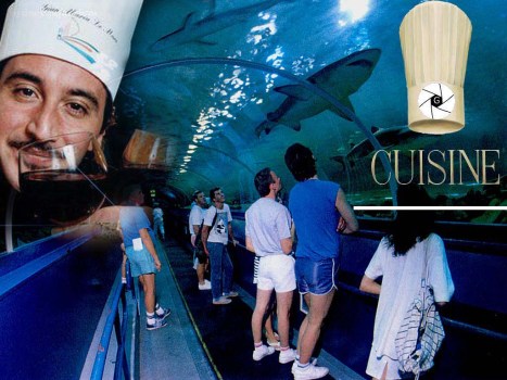 ???????????????????????????????????????????????????????????????????????????????????????????????????????????????