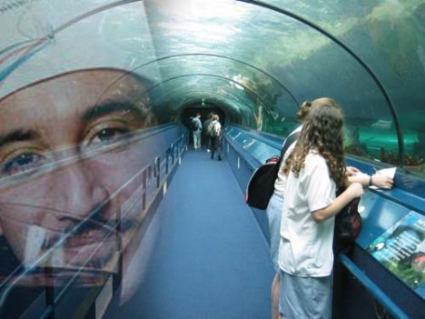 ???????????????????????????????????????????????????????????????????????????????????????????????????????????????