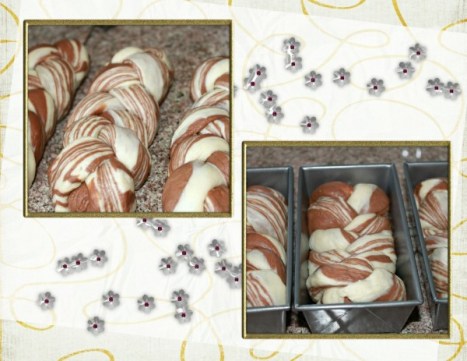 Chocolate-Marble-Asian-Bread