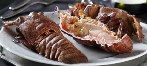 zoccole magnose aperte