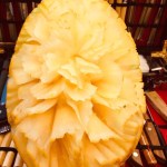 70212516_743409902766975_7927788030960599040_n (1)